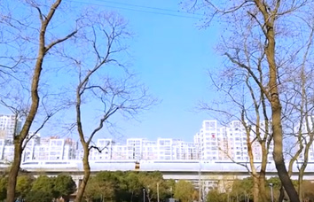 Airwheel SE3 smart tech suitcase